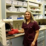 staff member using sterilization machine