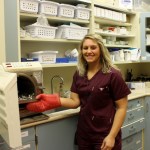 staff member using sterilization machine